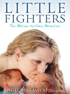 cover image of Little Fighters
